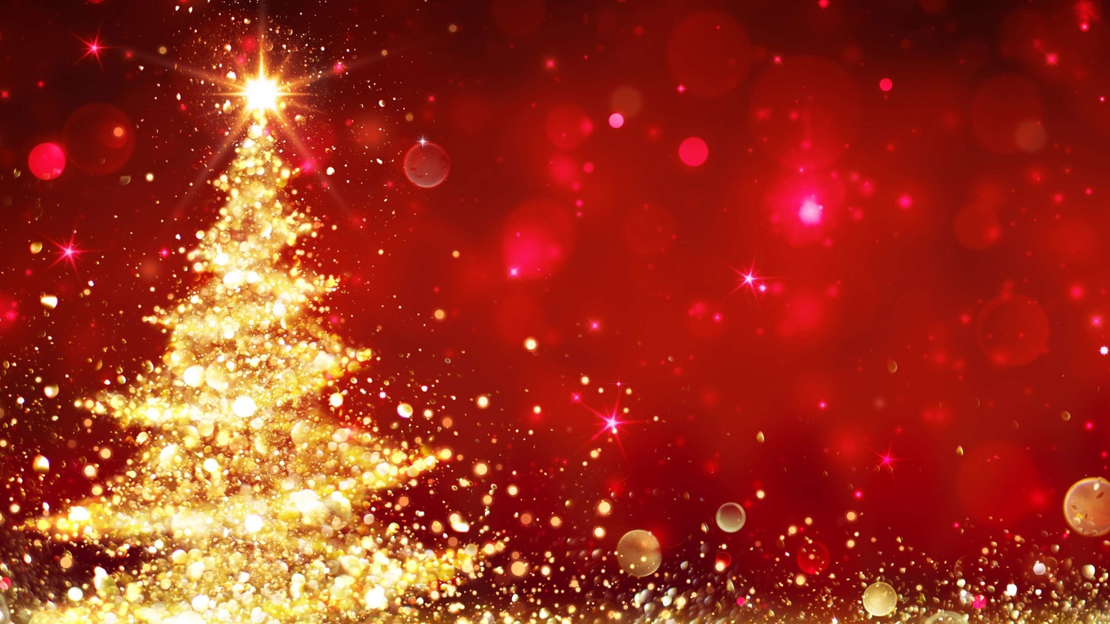 Fondo de pantalla Christmas Tree Backdrop 1600x900