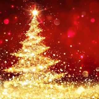 Christmas Tree Backdrop sfondi gratuiti per 2048x2048