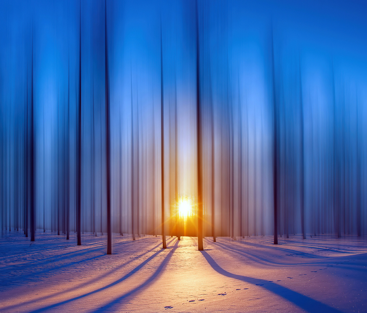 Das Snow Forest Wallpaper 1200x1024