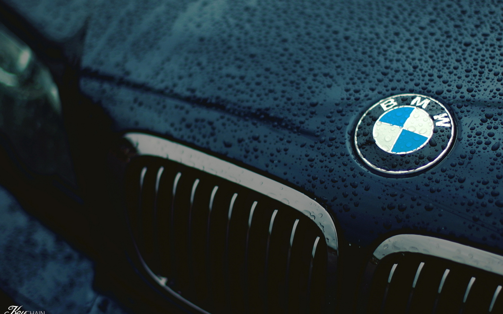 Обои Bmw Logo after Rain 1680x1050