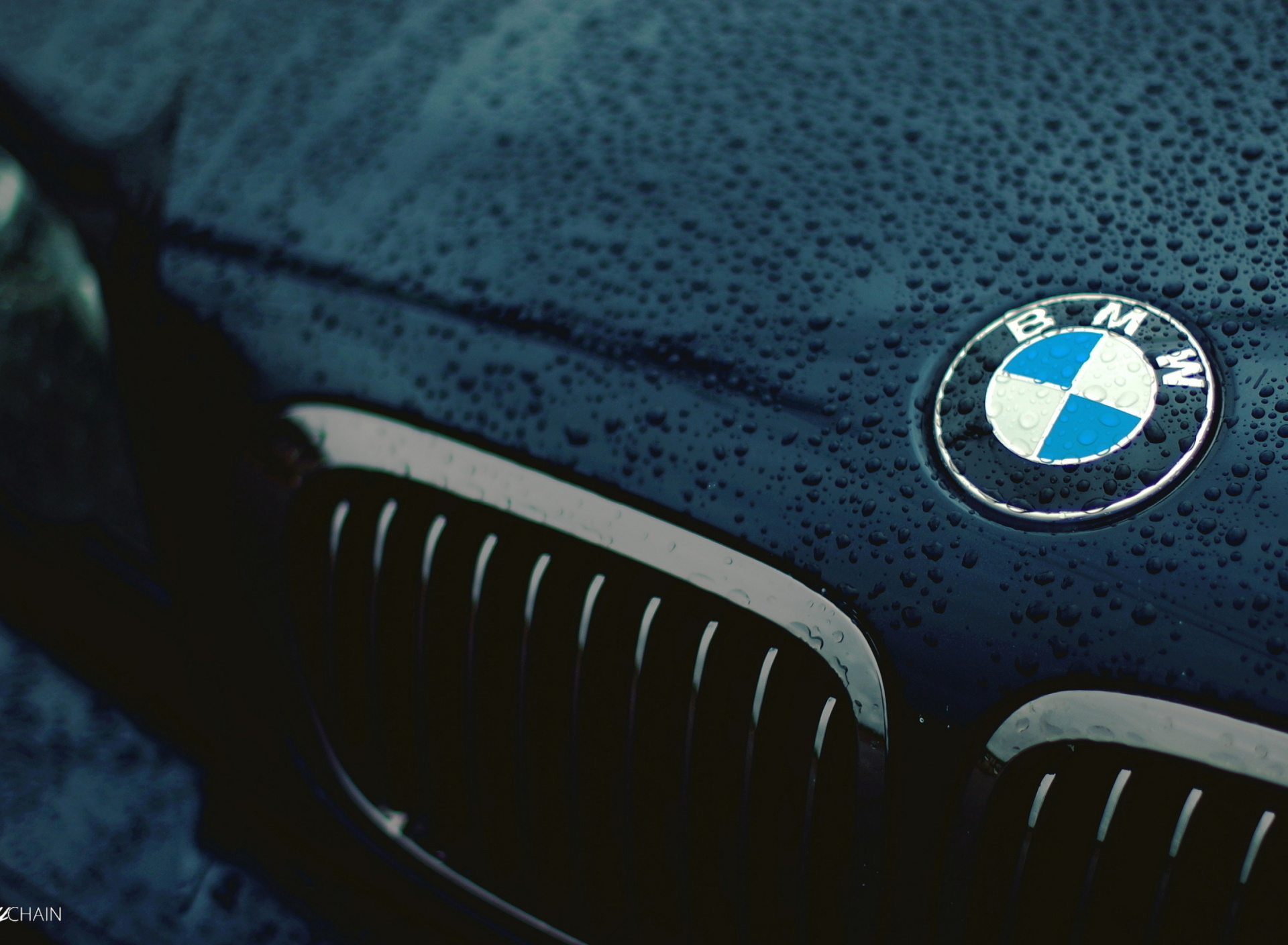 Bmw Logo after Rain wallpaper 1920x1408