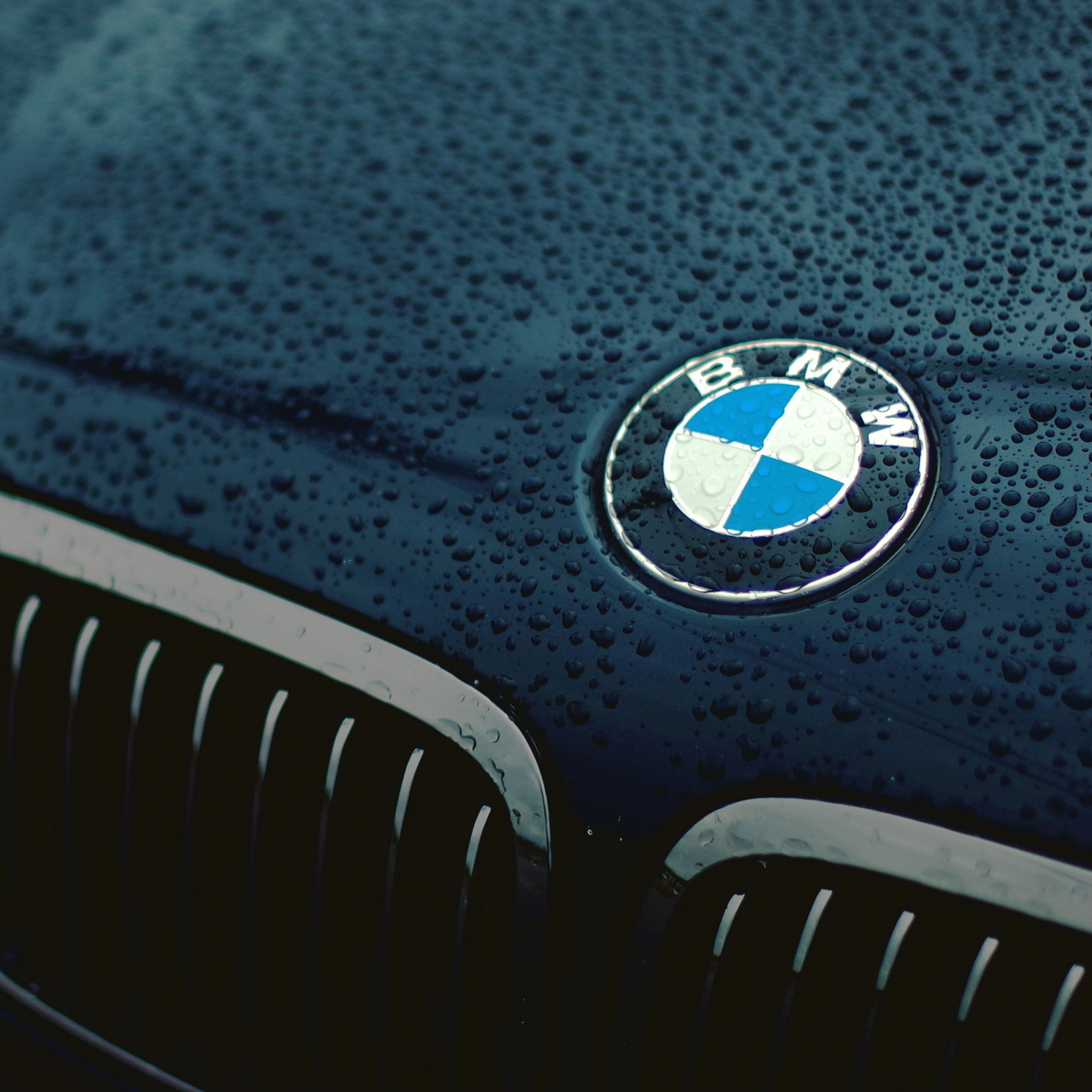 Fondo de pantalla Bmw Logo after Rain 2048x2048