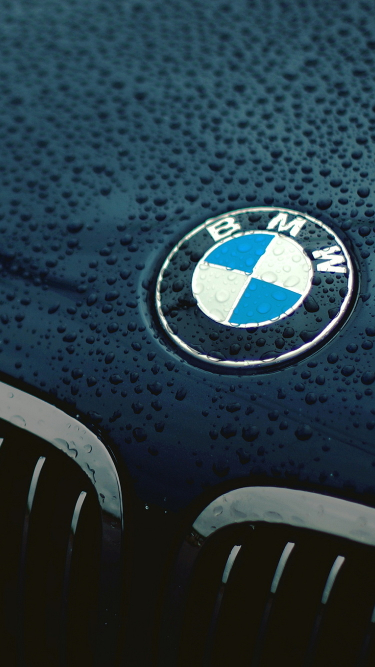 Bmw Logo after Rain wallpaper 750x1334