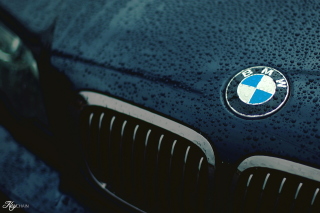 Bmw Logo after Rain Background for Android, iPhone and iPad