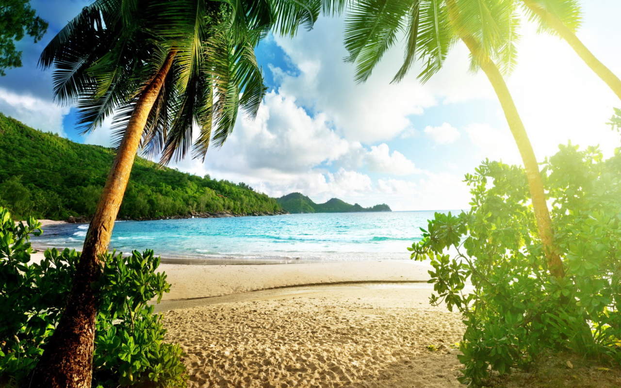 Fondo de pantalla Tropical Beach In Palau 1280x800