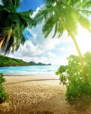 Tropical Beach In Palau screenshot #1 128x160