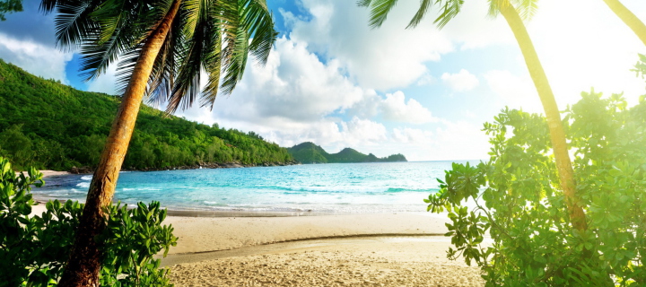 Tropical Beach In Palau screenshot #1 720x320