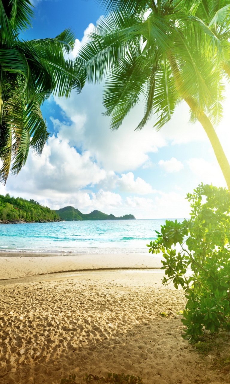 Fondo de pantalla Tropical Beach In Palau 768x1280