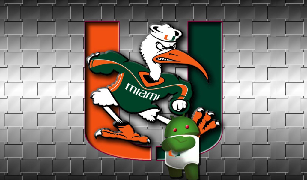 Fondo de pantalla Miami Hurricanes football 1024x600