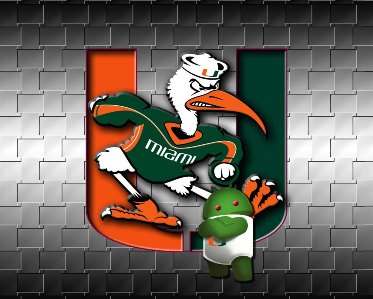 Das Miami Hurricanes football Wallpaper 1280x1024