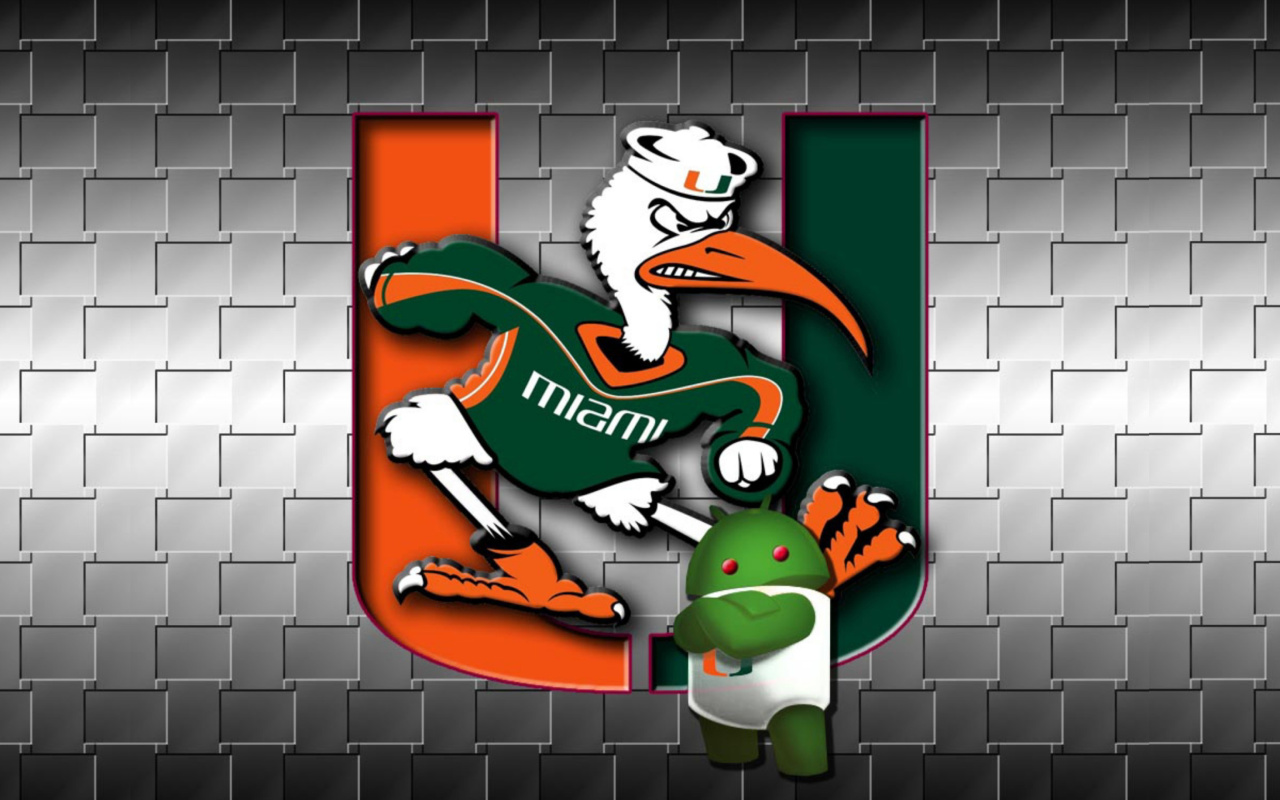 Обои Miami Hurricanes football 1280x800