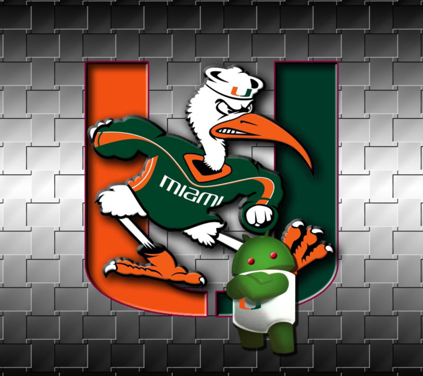 Miami Hurricanes football wallpaper 1440x1280