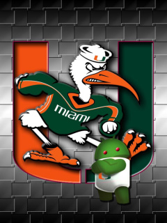 Sfondi Miami Hurricanes football 240x320