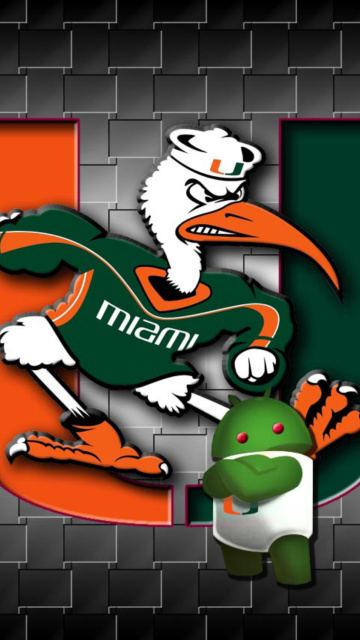 Обои Miami Hurricanes football 360x640