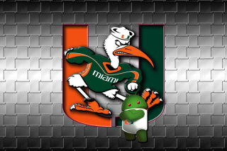 Miami Hurricanes football Picture for Android, iPhone and iPad