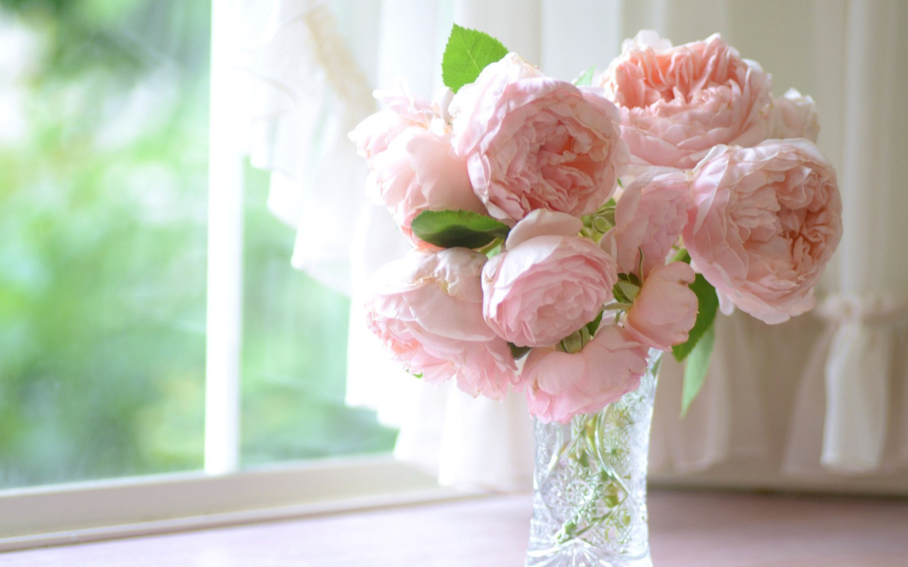 Обои Soft Pink Peonies Bouquet 1280x800