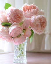 Обои Soft Pink Peonies Bouquet 176x220