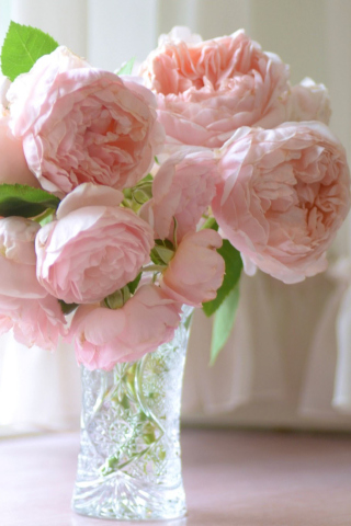 Fondo de pantalla Soft Pink Peonies Bouquet 320x480