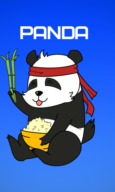 Cool Panda Illustration wallpaper 480x800