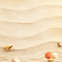 Das Sand and Shells Wallpaper 128x128