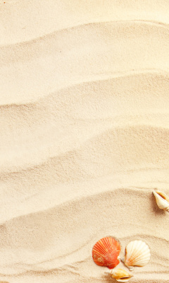 Fondo de pantalla Sand and Shells 240x400