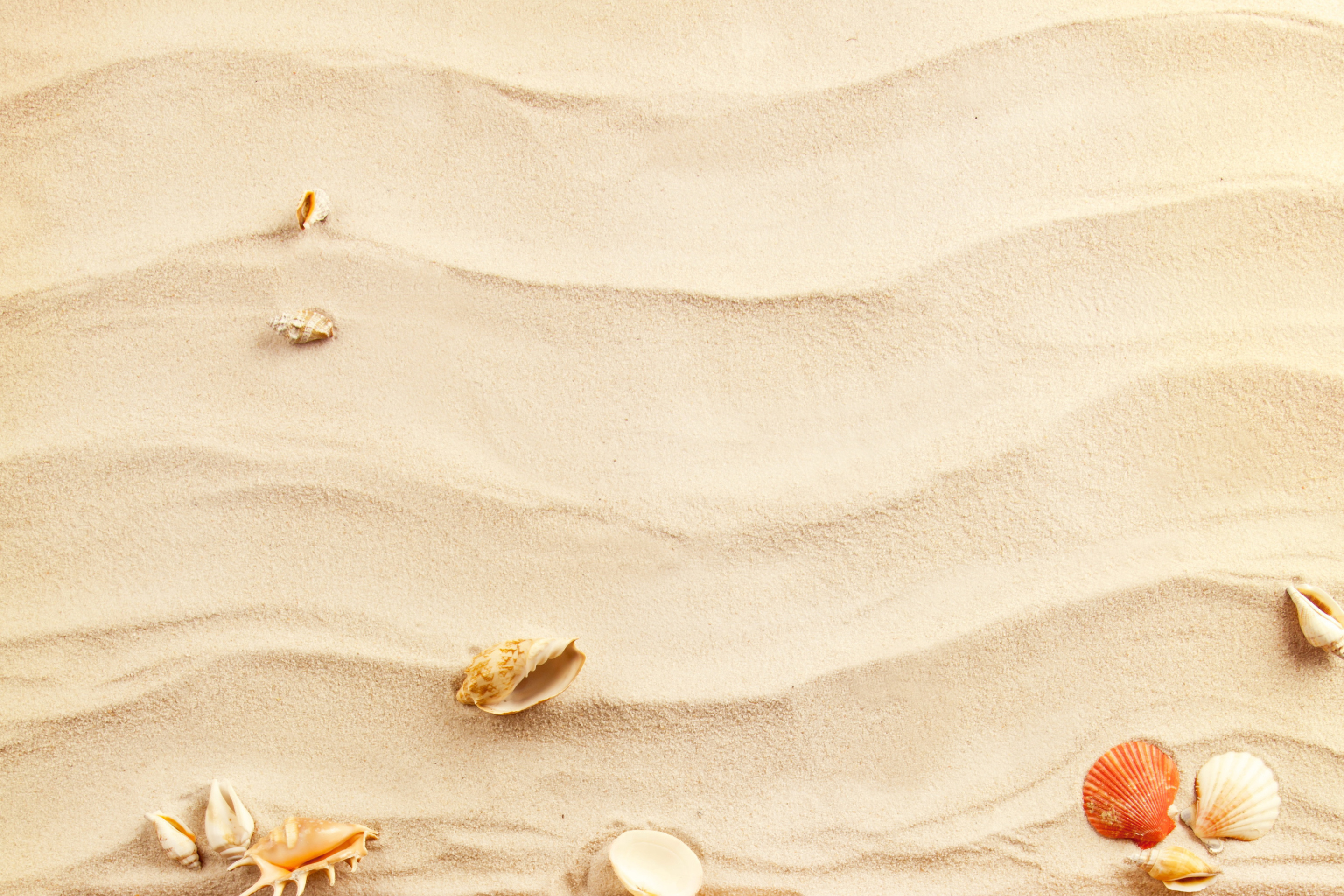 Sand and Shells screenshot #1 2880x1920