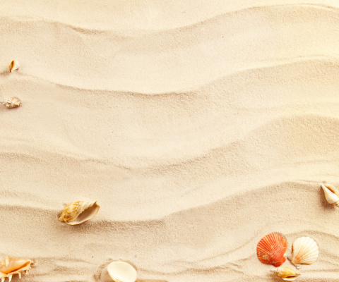 Обои Sand and Shells 480x400