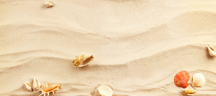 Das Sand and Shells Wallpaper 720x320