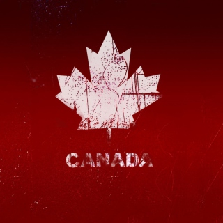 Canada Maple Leaf - Obrázkek zdarma pro 208x208