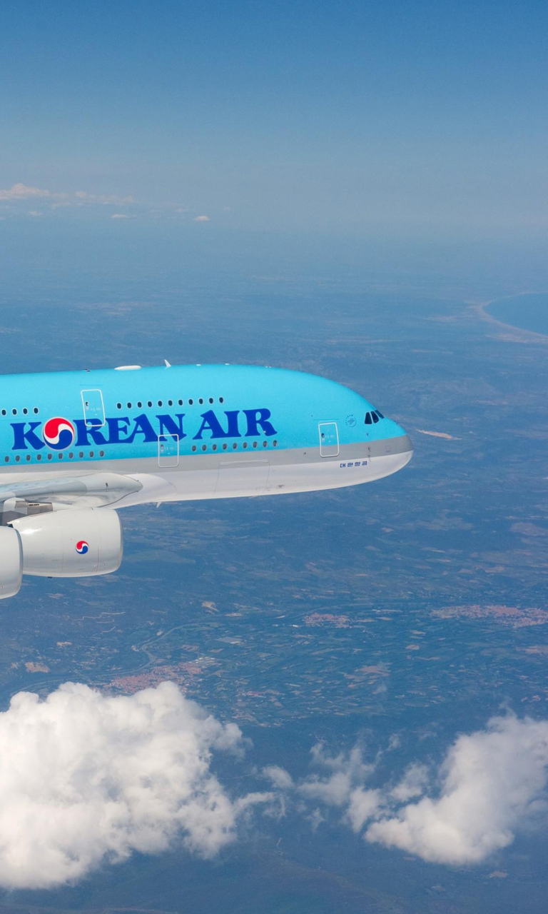 Sfondi Korean Air flight Airbus 768x1280