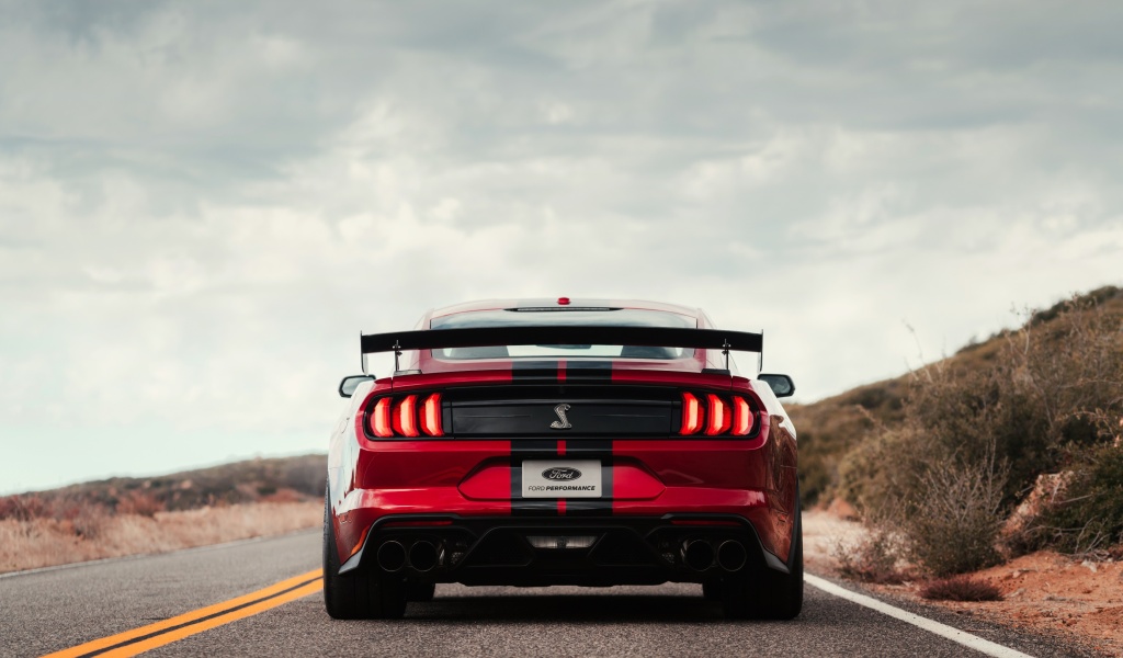 Fondo de pantalla Mustang Shelby GT500 1024x600