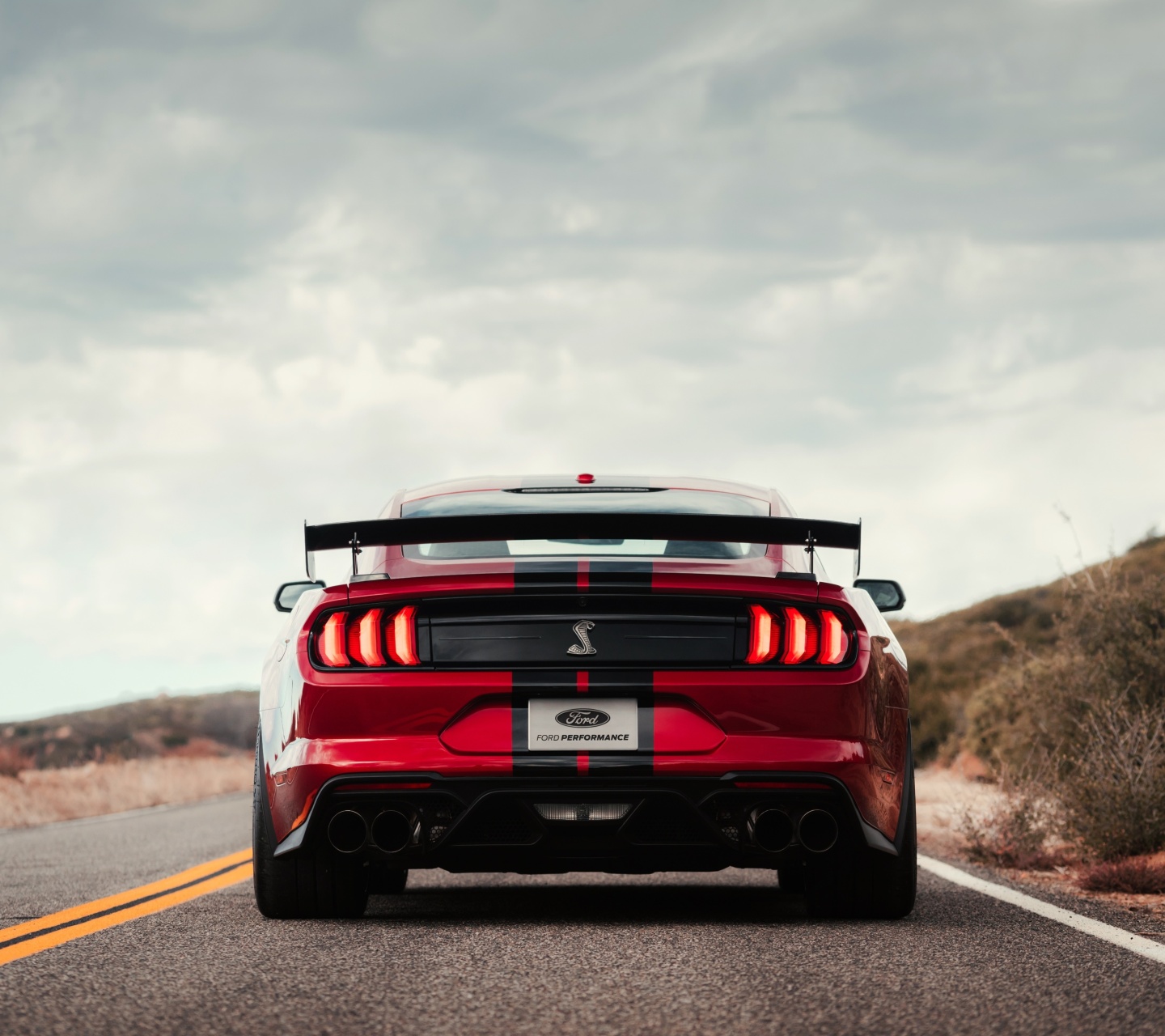 Mustang Shelby GT500 wallpaper 1440x1280