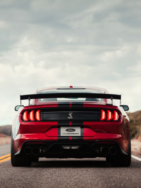 Fondo de pantalla Mustang Shelby GT500 480x640