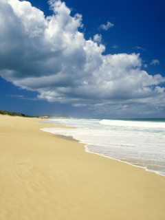 Sunny Beach screenshot #1 240x320