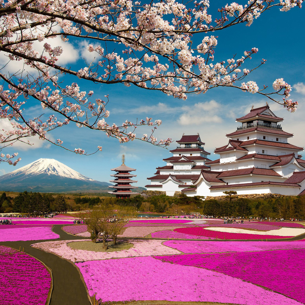 Fondo de pantalla Mount Fuji in Japan 1024x1024