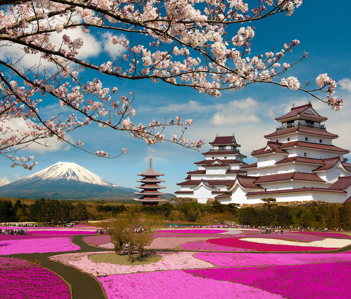 Mount Fuji in Japan screenshot #1 1200x1024