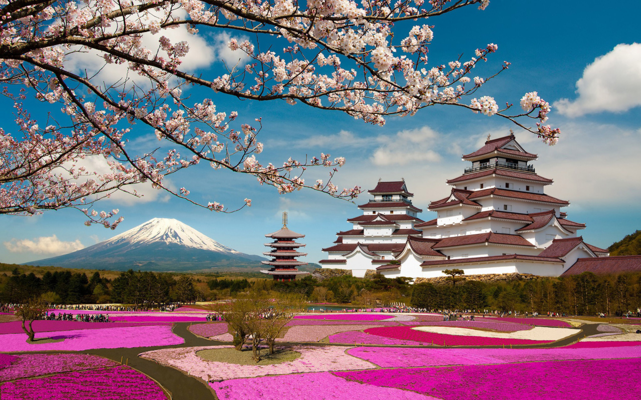 Fondo de pantalla Mount Fuji in Japan 1280x800