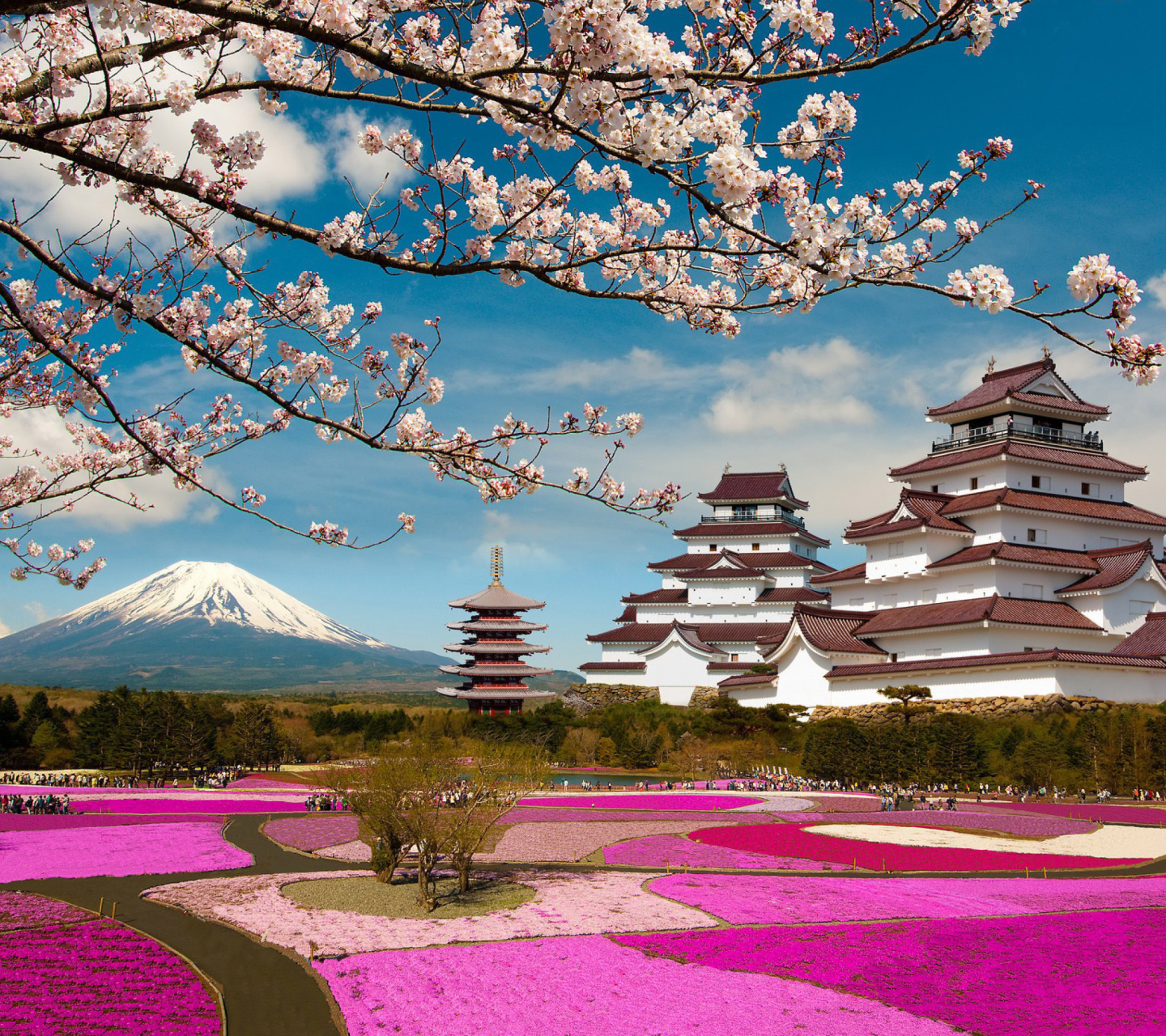 Обои Mount Fuji in Japan 1440x1280