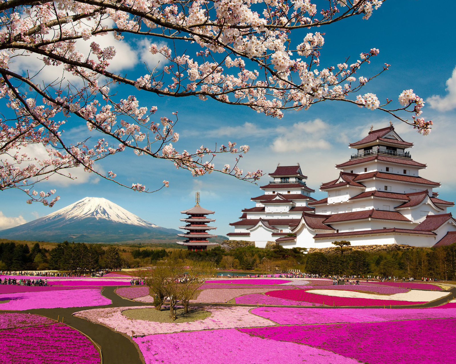 Обои Mount Fuji in Japan 1600x1280