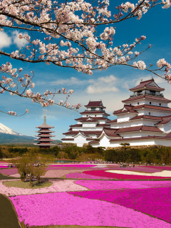 Mount Fuji in Japan screenshot #1 240x320