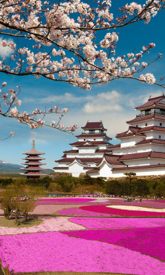 Fondo de pantalla Mount Fuji in Japan 240x400