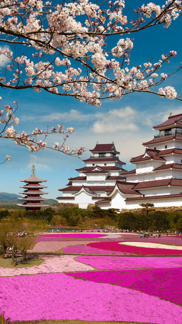 Mount Fuji in Japan screenshot #1 360x640