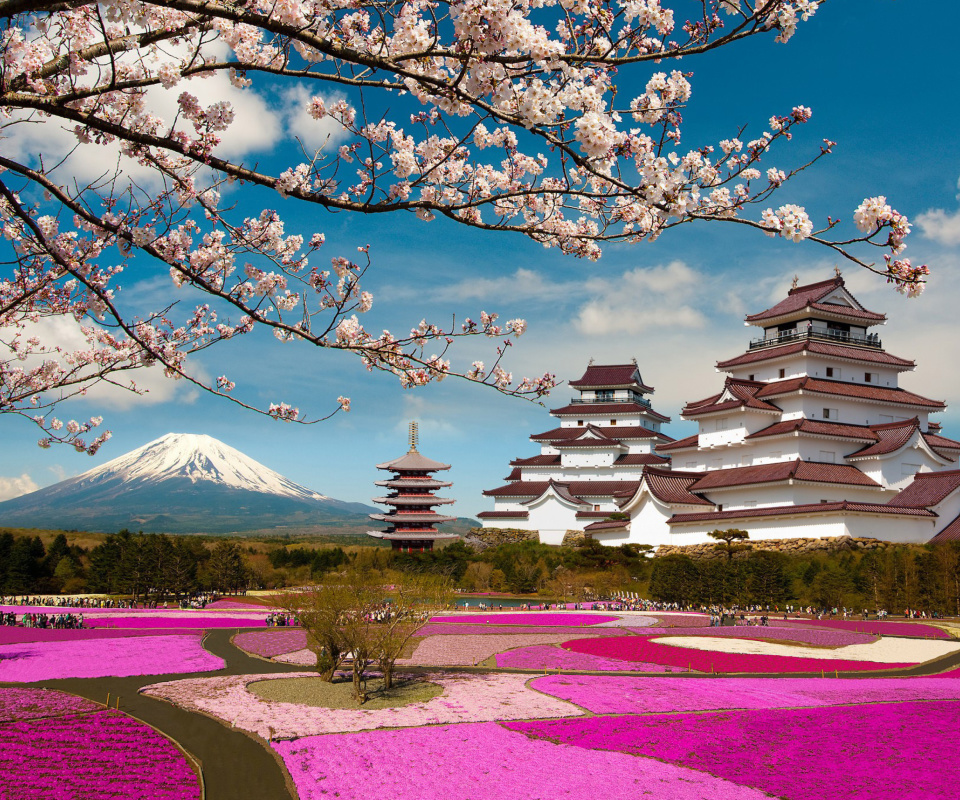 Das Mount Fuji in Japan Wallpaper 960x800