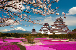 Mount Fuji in Japan sfondi gratuiti per cellulari Android, iPhone, iPad e desktop
