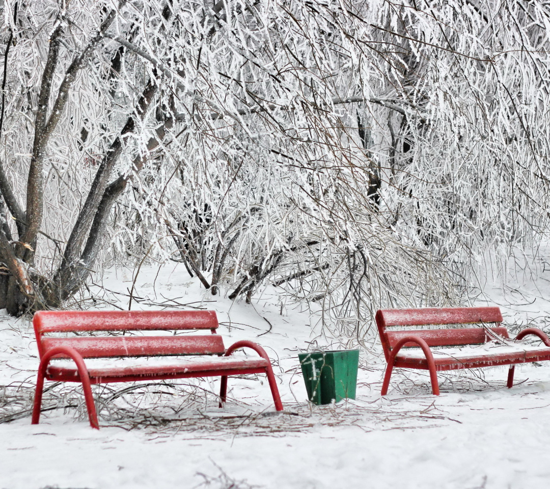 Sfondi Benches in Snow 1080x960