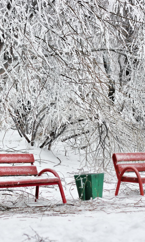 Benches in Snow wallpaper 480x800