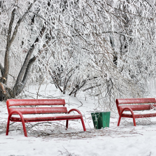 Benches in Snow sfondi gratuiti per 1024x1024