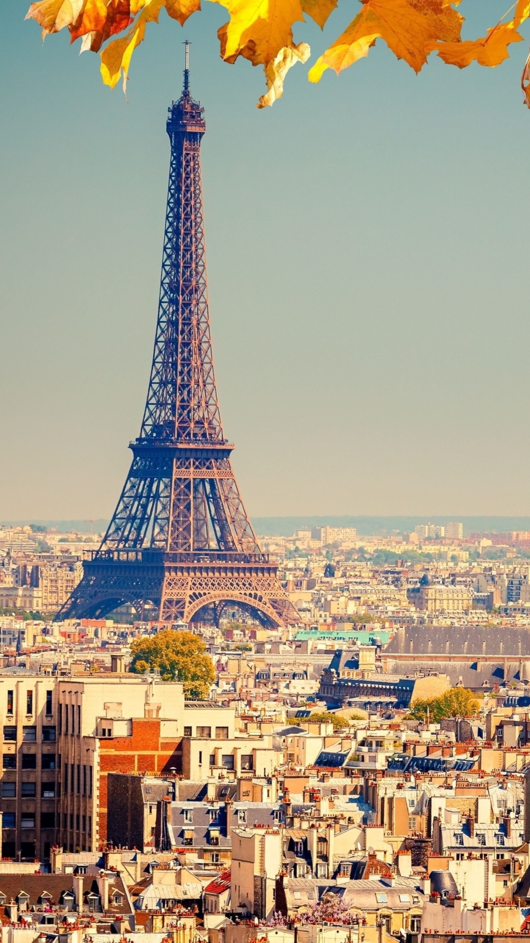 Обои Eiffel Tower Paris Autumn 1080x1920