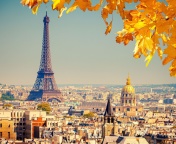 Обои Eiffel Tower Paris Autumn 176x144