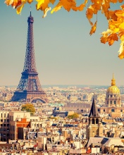 Fondo de pantalla Eiffel Tower Paris Autumn 176x220